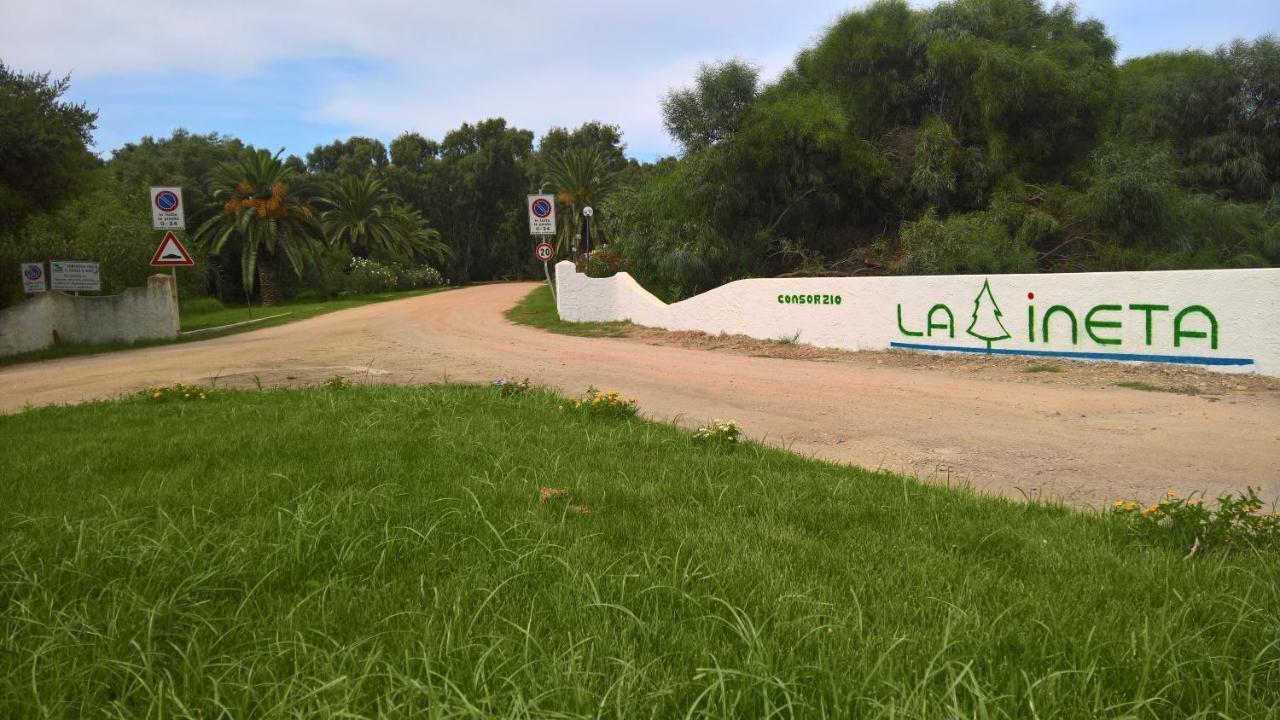 Appartamenti Magnolie-La Pineta فاليدوريا المظهر الخارجي الصورة